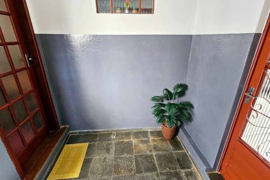 チラデンテス Casa Dos Coelhos, 750M Do Centro, Ate 12 Pessoasヴィラ エクステリア 写真